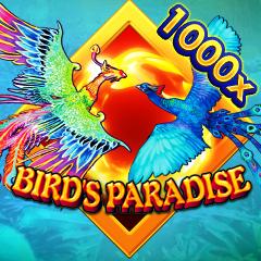 Bird'sParadise